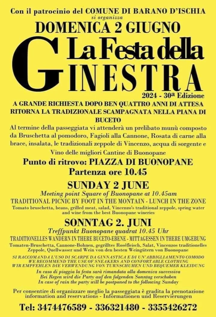 Genista Festival