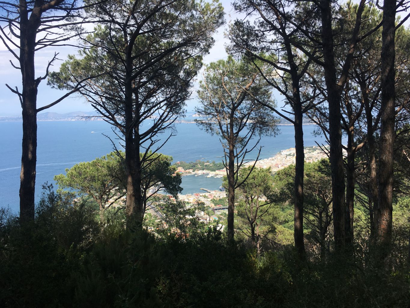 Bosco del Cretaio