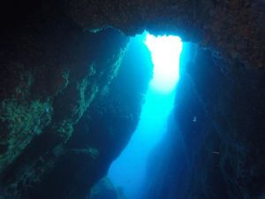 Immersione nella secca delle formiche - Info Ischia