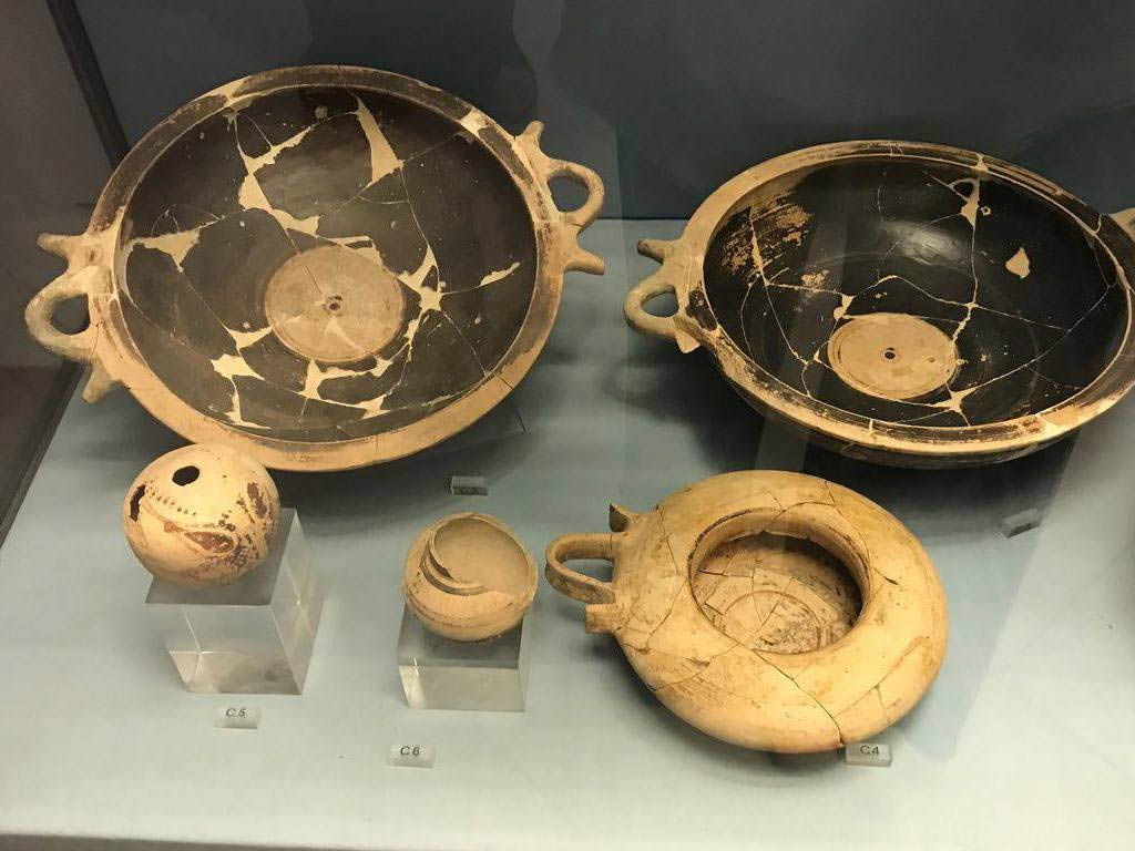 Museo di Pithecusae