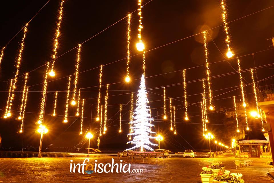 Albero Ischia Ponte